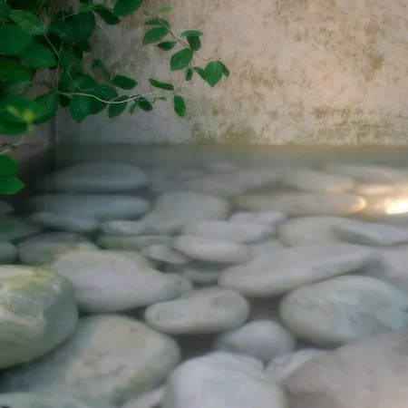 호텔 Leonardo Da Vinci Wellness 비비오네