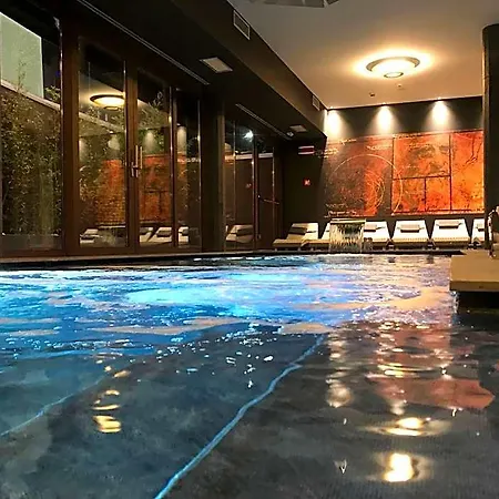 Отель Leonardo Da Vinci Wellness 3*