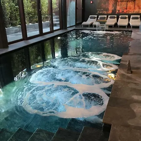 Leonardo Da Vinci Wellness فندق 3*